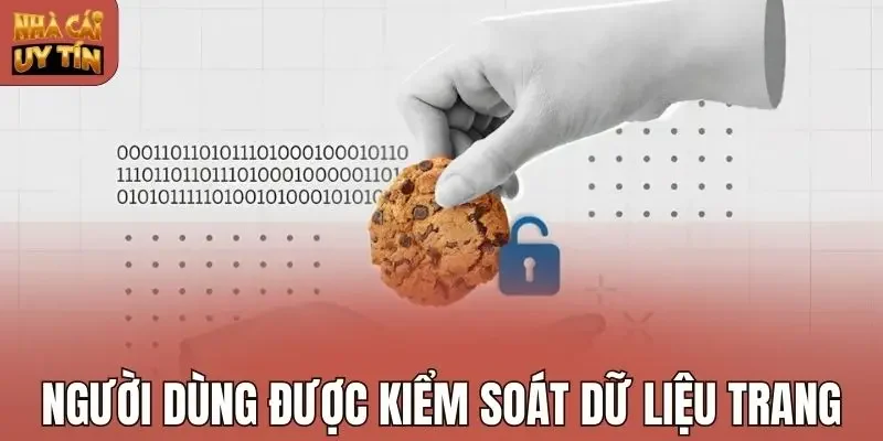 Người dùng được kiểm soát dữ liệu trang
