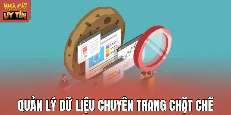 Quản lý dữ liệu chuyên trang chặt chẽ